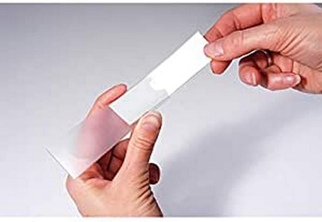 Kangaro Self-Adhesive Label Cover 25 x 75 mm Pack of 12 Kangaro Self-Adhesive Label Cover 25 x 75 mm Pack of 12